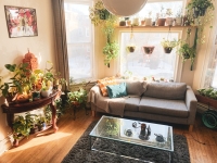 Stop met wonen voor de foto